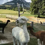 Haus Grimmingblick * Zlem