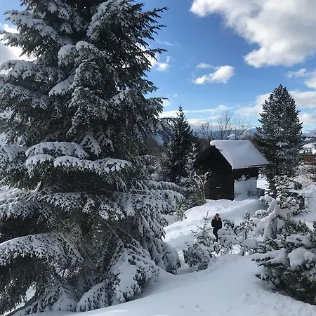 Casa de Férias Haus Grimmingblick Zlem