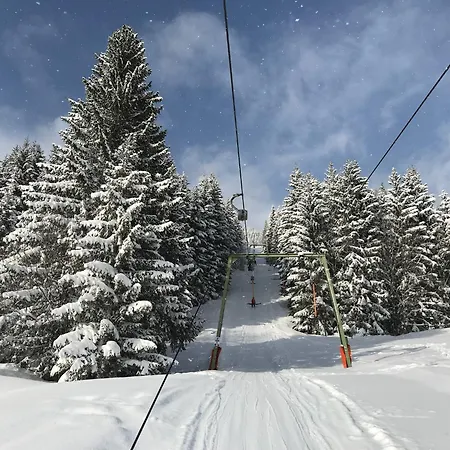 Haus Grimmingblick Zlem