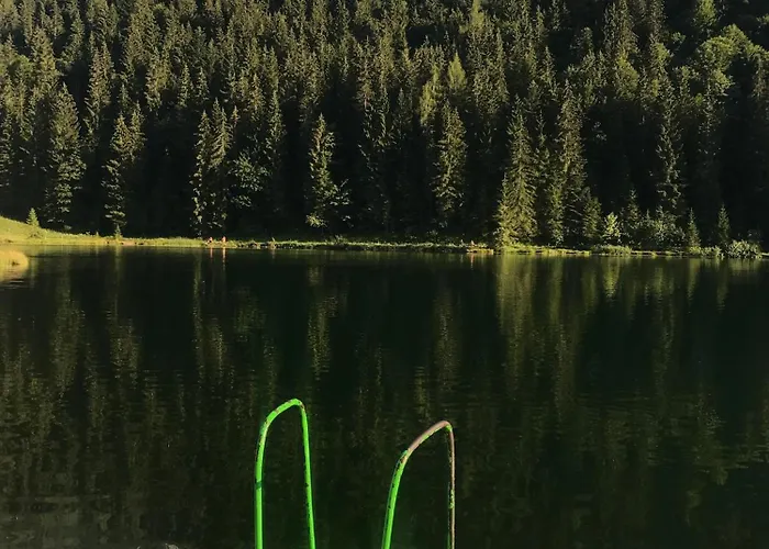 Haus Grimmingblick Holiday home *