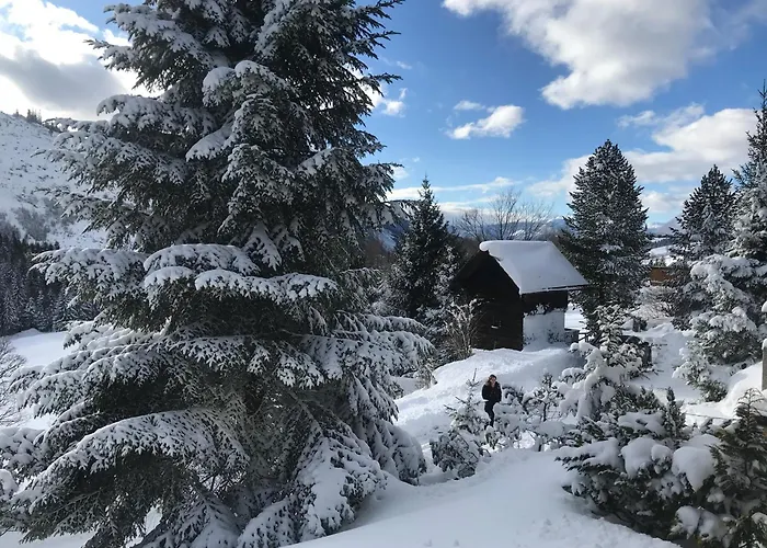 Holiday home Haus Grimmingblick Zlem