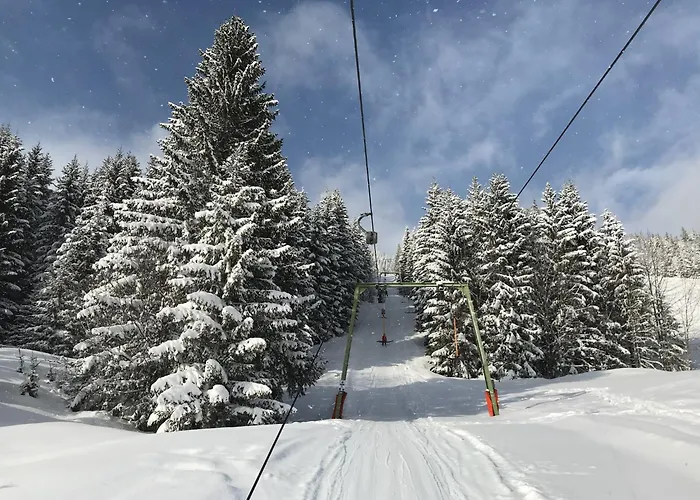 Haus Grimmingblick Zlem