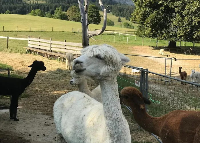 Haus Grimmingblick * Zlem